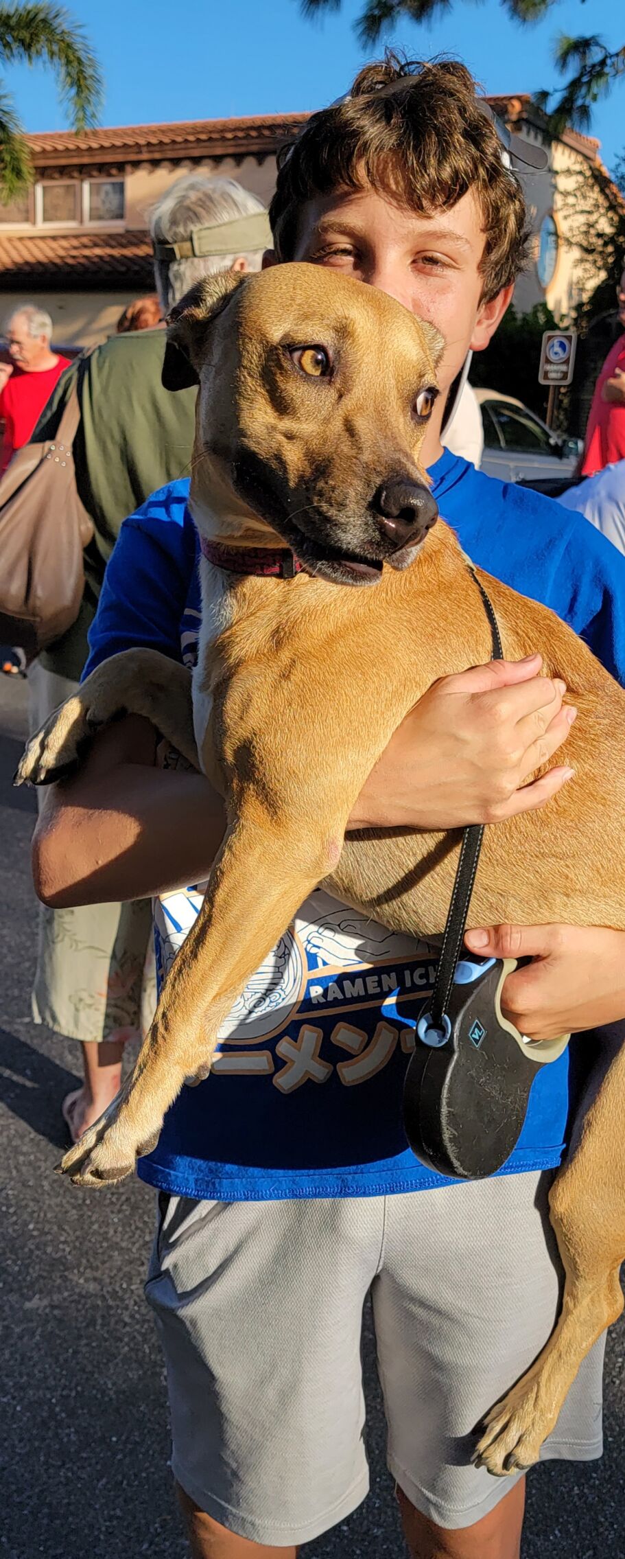 Blessing of the Animals